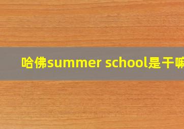 哈佛summer school是干嘛的